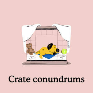 crate training problems